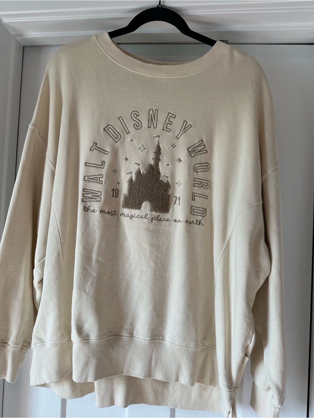Walt Disney World Cream Graphic Sweatshirt